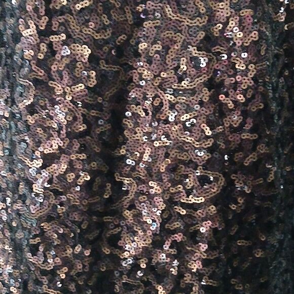 Michael Michael Kors brown sequin front long sleeve top Sz S - Picture 4 of 6